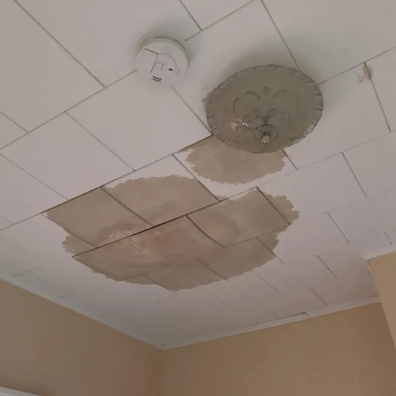 Ceiling Water Damage Repair in Polk County, TN