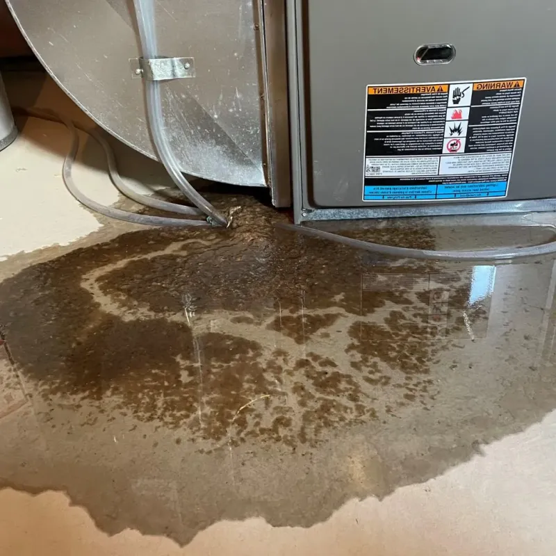Pipe Burst and Leak Restoration in Polk County, TN
