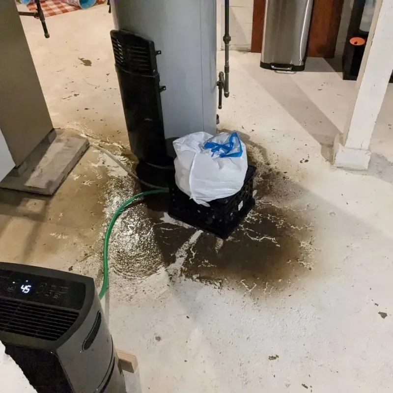 Sewage Backup Cleanup Service in Polk County, TN